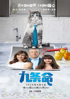 妻子的借口